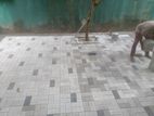 Interlock Paving