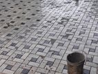 Interlock Paving with Australian Grass