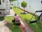 Interlock Paving