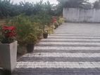 Interlock paving & Grass Plabting