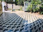 Interlock paving & Grsass Planting