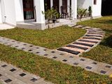 Interlock Paving & Landscaping