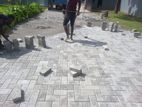 Interlock Paving & Landscaping