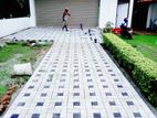 Interlock Paving & Landscaping