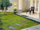 Interlock Paving and Landscaping Services