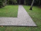 Interlock Paving Service