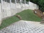 Interlock Paving Design Malaysian Garden Grass