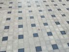 Interlock Paving