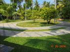 Interlock Paving Garden Design Malaysian Grass Landscaping