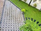 Interlock Paving