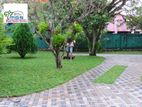 Interlock Stones Malaysian Garden Grass Landscaping