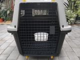 International Aviation Cat Carrier