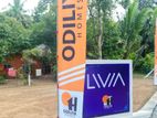 Introducing "Livia" Land Project for Sale