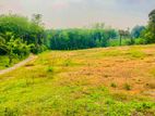 investment , residential best land for sale in kosgama