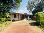 (IP117) Single Story House Sale At Colombo 05