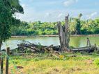 (IP333) Water Front 41 P Land Sale At Rajagiriya