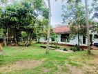 (IP349) 41 P LAND AT 200 M Galle Road Wadduwa Kaluthara