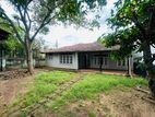 (IP406) 18.5P Single Story House Sale in Nugegoda