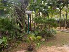 (IP505) Bare land of 7 perches for immediate sale in Maharagama