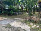 (IP505) Bare land of 7 perches for immediate sale in Maharagama