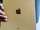 iPad 10th Gen (64 Gb, Wi Fi)