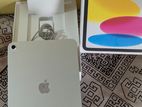 iPad 11