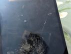 iPad 8
