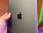 iPad 9th Gen 256 Gb Cellular