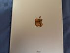Ipad 9th Gen