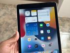 iPad Air 2 Cellular