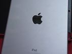Apple iPad Air 2