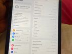 iPad Air 2