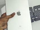 Ipad Air 2 Wifi and Cellular