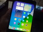 iPad Mini 4