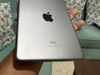 iPad mini 5 WiFi cellular