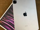 Apple iPad Pro 11 inch 4th Generation