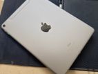 iPad Pro