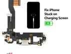 iPhone 12 Pro Charging Mic Speaker Flex Repair