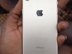 Apple iPhone 7 (Used)