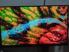 IPS 24" Gaming Monitor