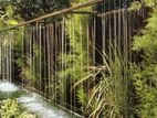 Irrigation System