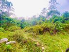 ( IS-1001) Valuable Commercial Land Sale in Homagama