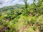 ( IS-1001) Valuable Commercial Land Sale in Homagama