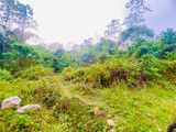 ( IS-1001) Valuable Commercial Land Sale in Homagama Madulawa