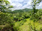 ( IS-1001) Valuable Land Sale in Meegoda