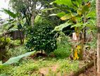 ( IS-1104) Valuable Residential Bare Land Sale in Homagama