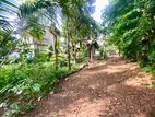 ( IS-1116) Valuable Residential Bare Land Sale in Homagama Godagama