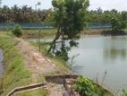 ඉස්සන් පොකුණු