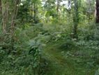 Land for Sale in Bibila