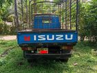 Isuzu 250 1980